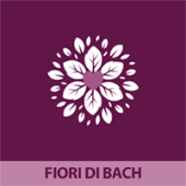 4° Miscela: Il Dono Spirituale