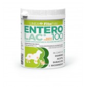 Enteroplus Fermenti Lattici