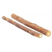 Erba Gatta Biologica la vera CATNIP