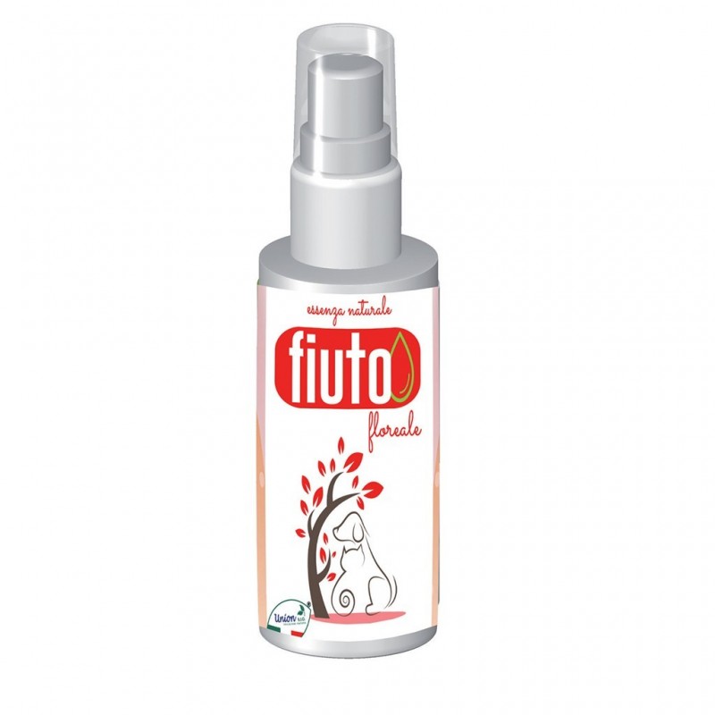 Detergif  Agrumato Dog