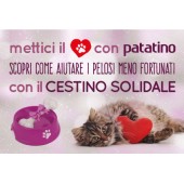 CESTINO SOLIDALE