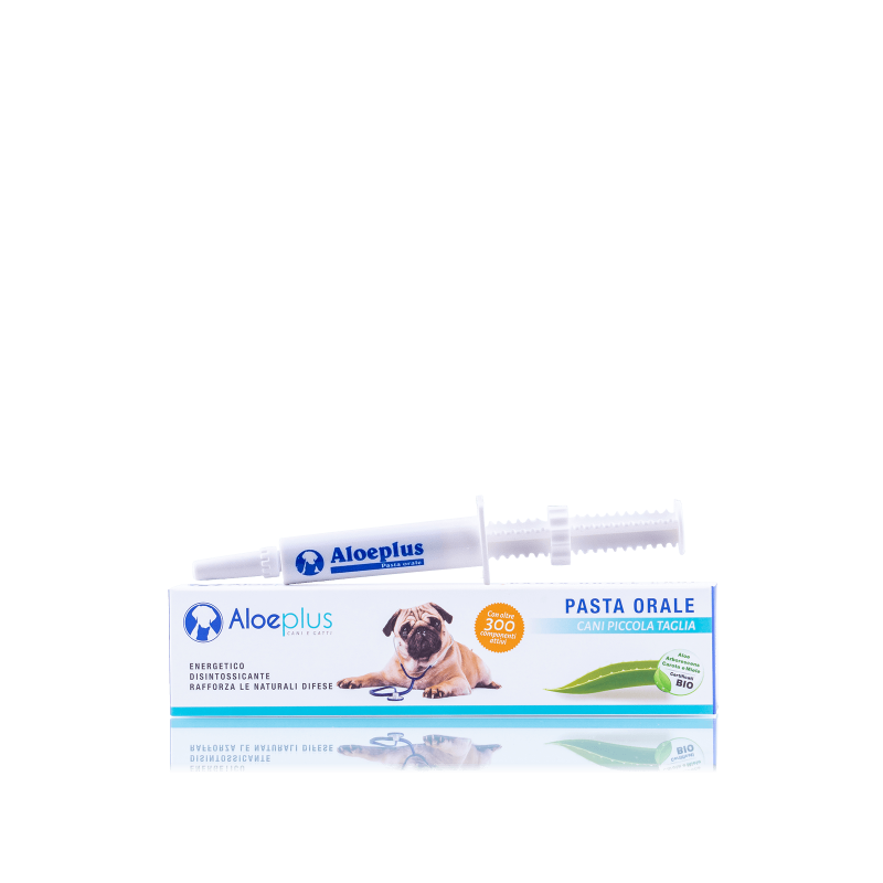 pasta aloe cane