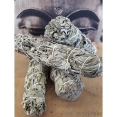 Salvia Officinalis per...