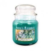 Prince's Candle Winter Spruce