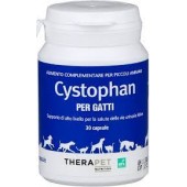 cystophan gatto