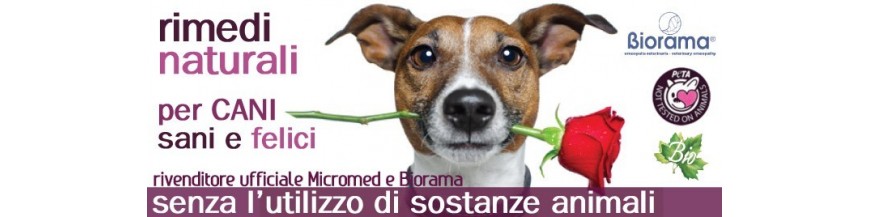 Integratori naturali e vegan per cani