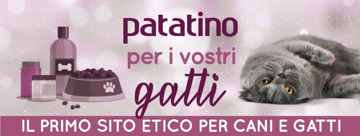 GATTO