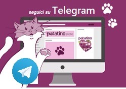 CANALE TELEGRAM PATATINO STORE