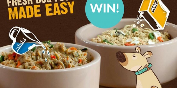 PURE PET FOOD DOG AND CATS